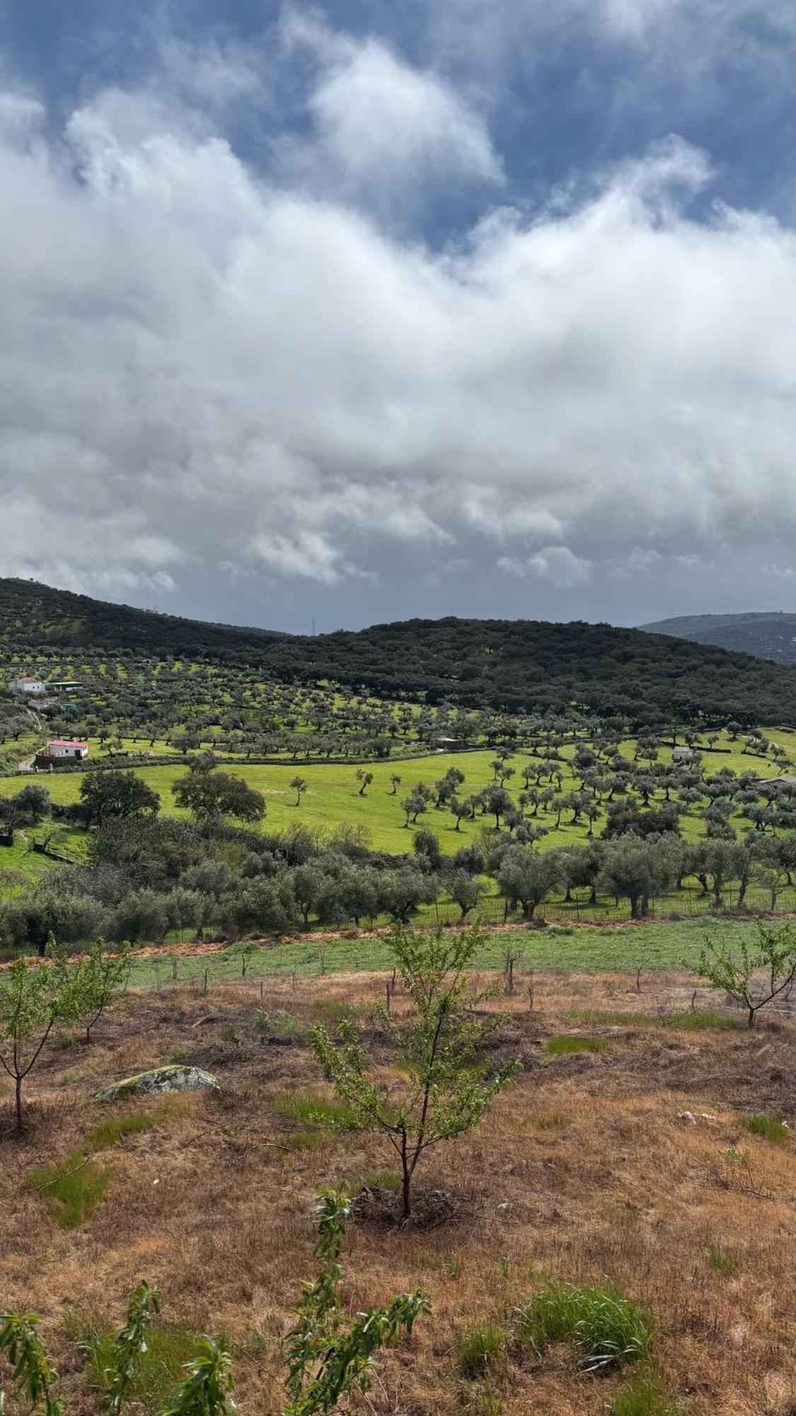 Casas Rurales Los Llanos Fuentes de León Exterior foto